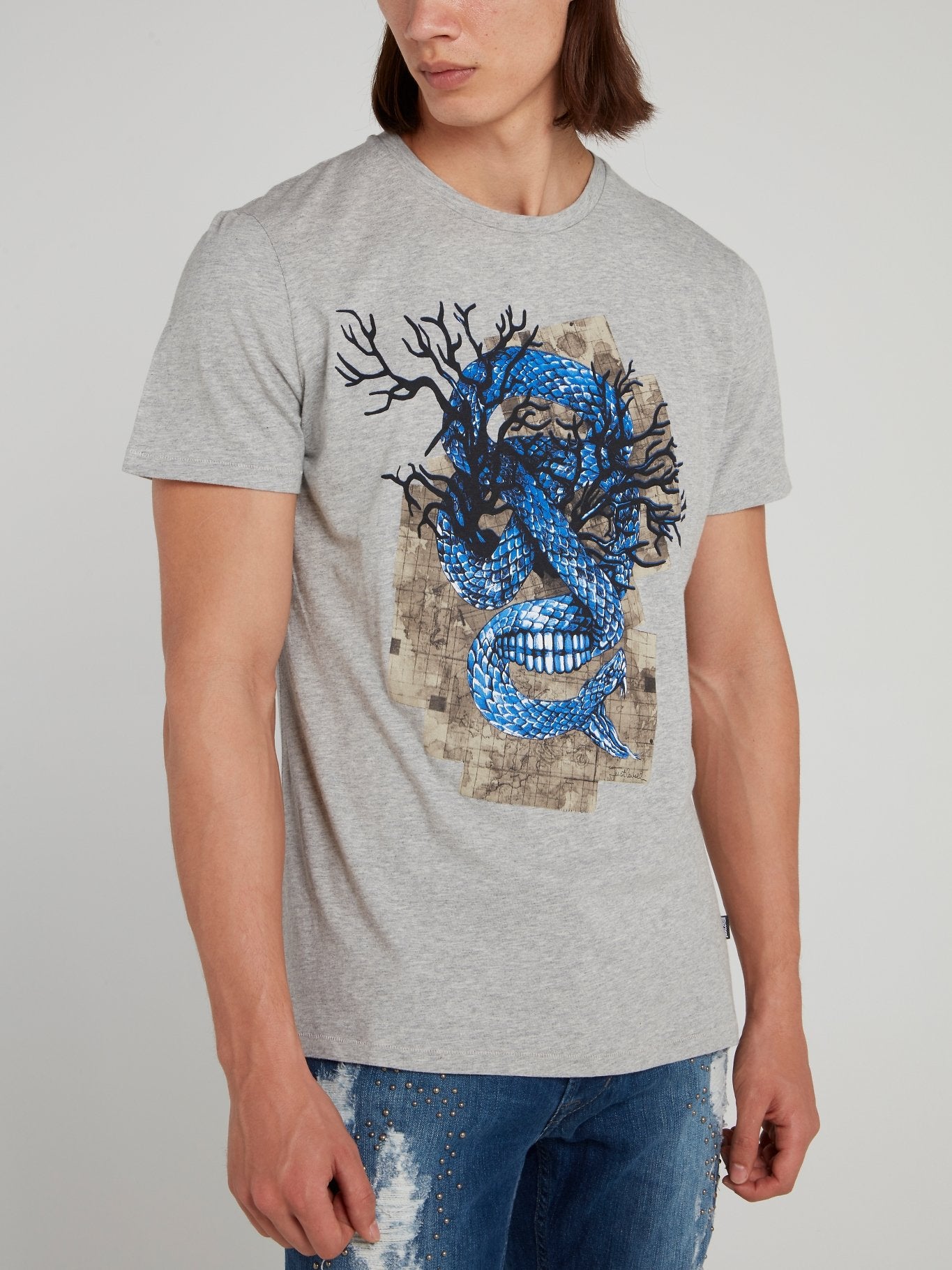 Серая футболка со змеиным принтом