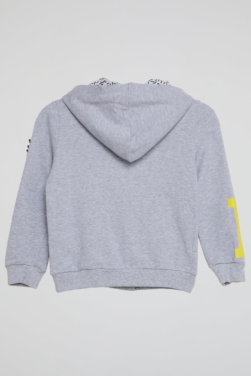 Grey Ice Graphic Edition Hoodie