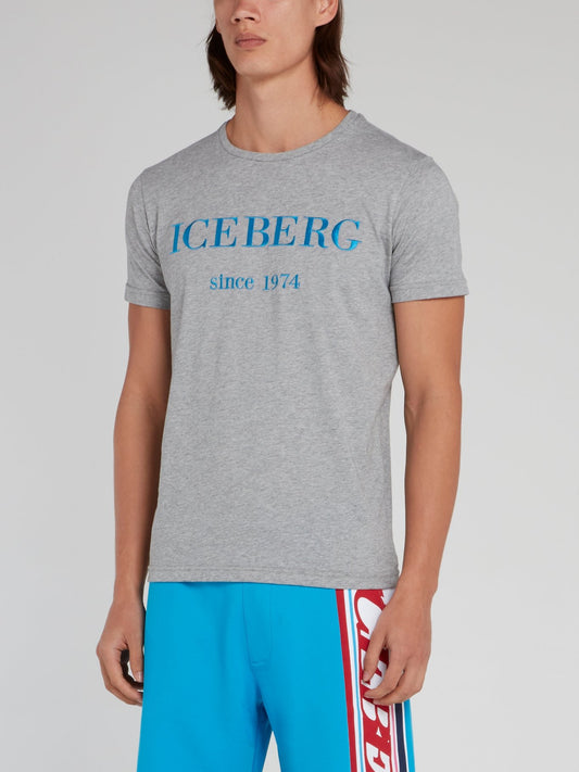 Серая хлопковая футболка с логотипом